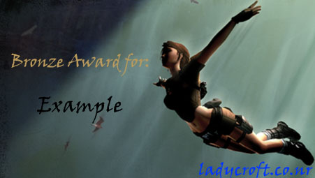 bronzeaward.jpg
